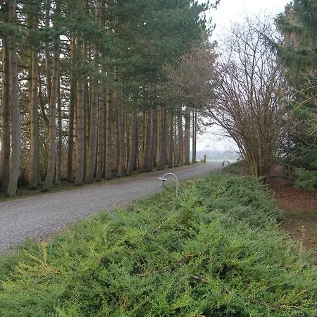 Ellegaarden Bed & Breakfast Koge